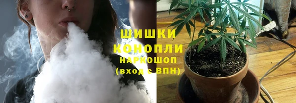 ешки Арсеньев