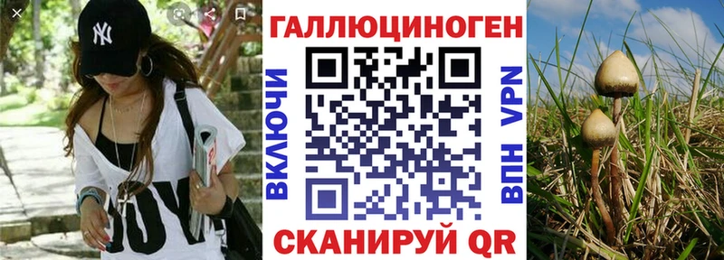 Галлюциногенные грибы мухоморы  продажа наркотиков  Баймак 